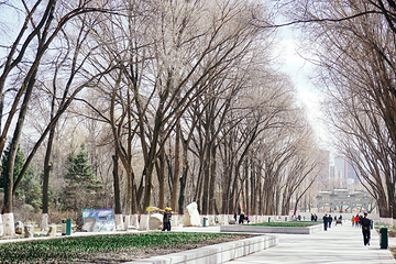 西宁市人民公园第 27 张图片