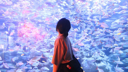 海滨城浩海立方海洋公园第 77 张图片