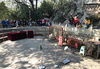 太湖仙岛第 27 张图片