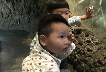 中国湿地博物馆第 25 张图片