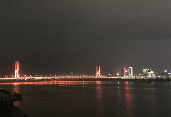 新八一大桥第 25 张图片