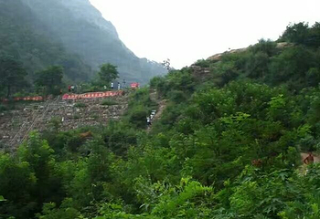 伊川鹤鸣峡景区第 20 张图片