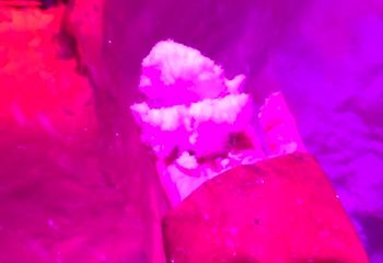 大角湾冰雪王国第 9 张图片