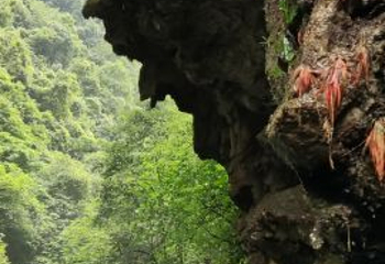 铁溪自然风景区第 15 张图片