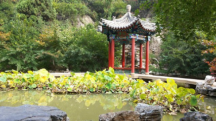 太山龙泉寺第 13 张图片