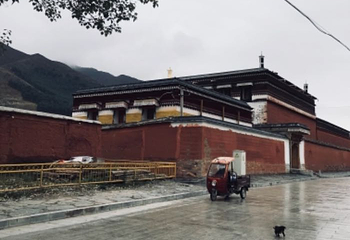 夏河达宗湖第 40 张图片