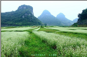 更望湖第 18 张图片