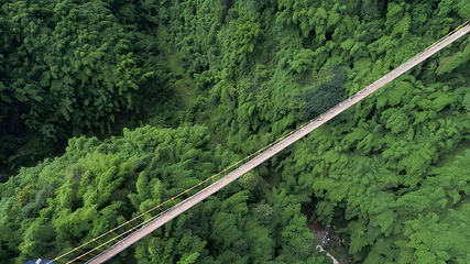 川西竹海景区第 12 张图片