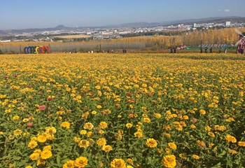 琵岩山第 8 张图片