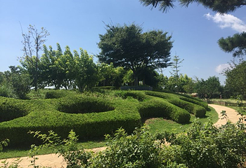 大连世界博览广场第 15 张图片