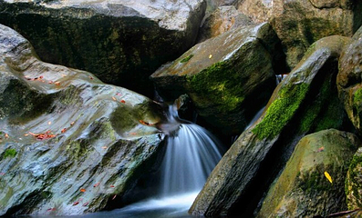 碧潭风景区第 17 张图片