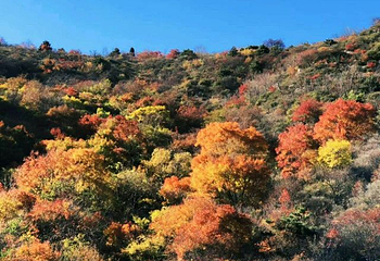 仙台山第 10 张图片