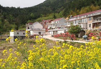 岳西金榜乡村第 28 张图片