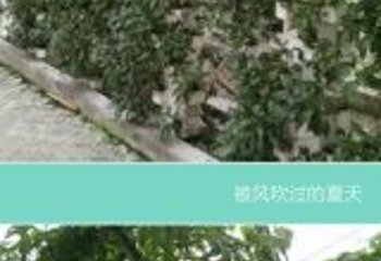 北川维斯特农业示范观光园第 12 张图片