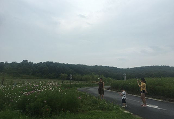 金牛湖风景区第 26 张图片