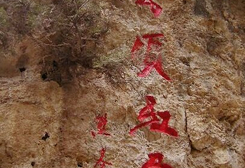 仙台山第 28 张图片