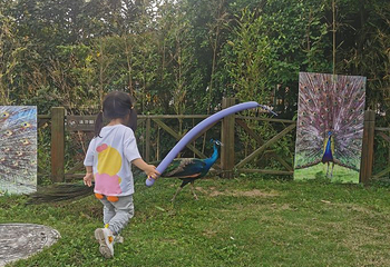 乐和乐都动物主题乐园第 82 张图片