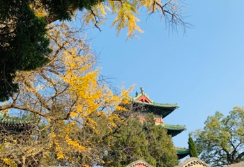 香山寺第 21 张图片