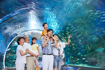海合安成都极地海洋公园第 28 张图片