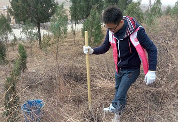 怀柔植树基地第 8 张图片