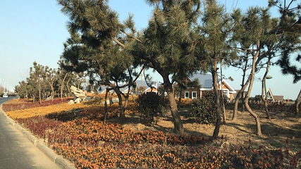 星岛·桃花岛风景区第 29 张图片