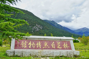 林芝自然博物馆第 16 张图片