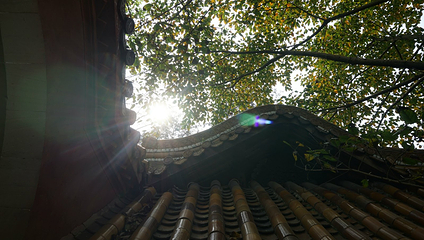 重龙山第 17 张图片