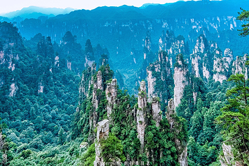 天子山风景区第 74 张图片