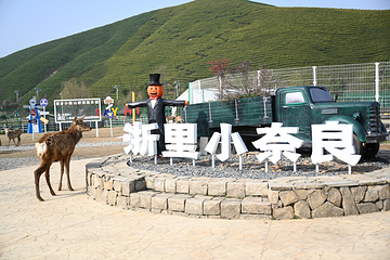 原乡小镇度假乐园第 14 张图片