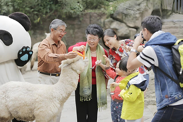 碧峰峡景区第 23 张图片