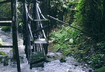 德庆盘龙峡生态旅游区第 46 张图片