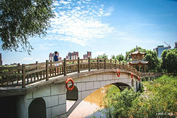 银滩湿地公园第 4 张图片