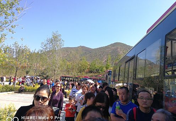 西部长青第 52 张图片