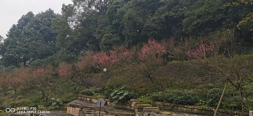 重庆抗战遗址博物馆第 2 张图片