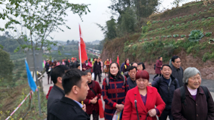 美樱花海第 24 张图片