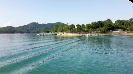 万绿湖风景区第 51 张图片