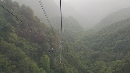 金佛山第 166 张图片