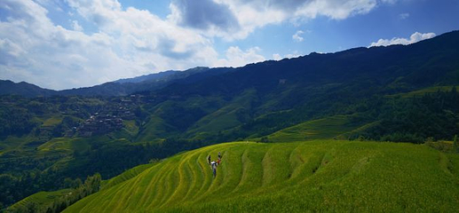 相公山景区第 47 张图片