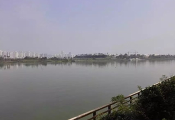 观音湖景区第 20 张图片