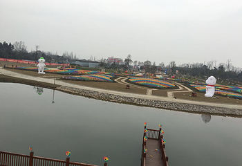 天府牡丹园第 18 张图片