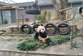 仙芝竹尖生态园第 16 张图片