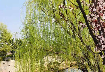 仰口景区-太平宫第 9 张图片