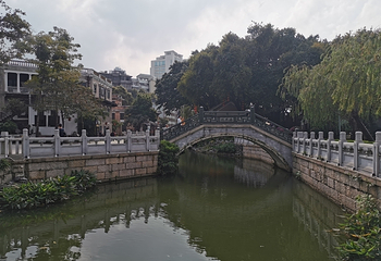 荔枝湾涌第 39 张图片