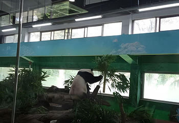 广州动物园第 62 张图片