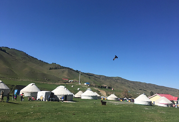 南山牧场西白杨沟景区第 55 张图片