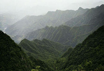 秦岭天竺山生态文化旅游景区第 74 张图片