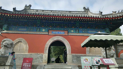 大觉寺第 26 张图片