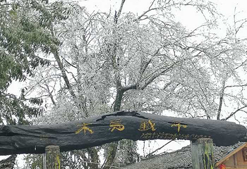 千年瑶寨第 112 张图片