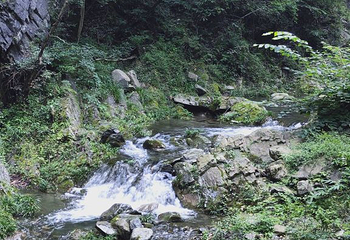 金丝峡景区第 48 张图片