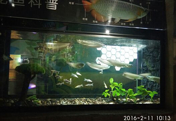 蚌埠海贝海洋乐园第 34 张图片